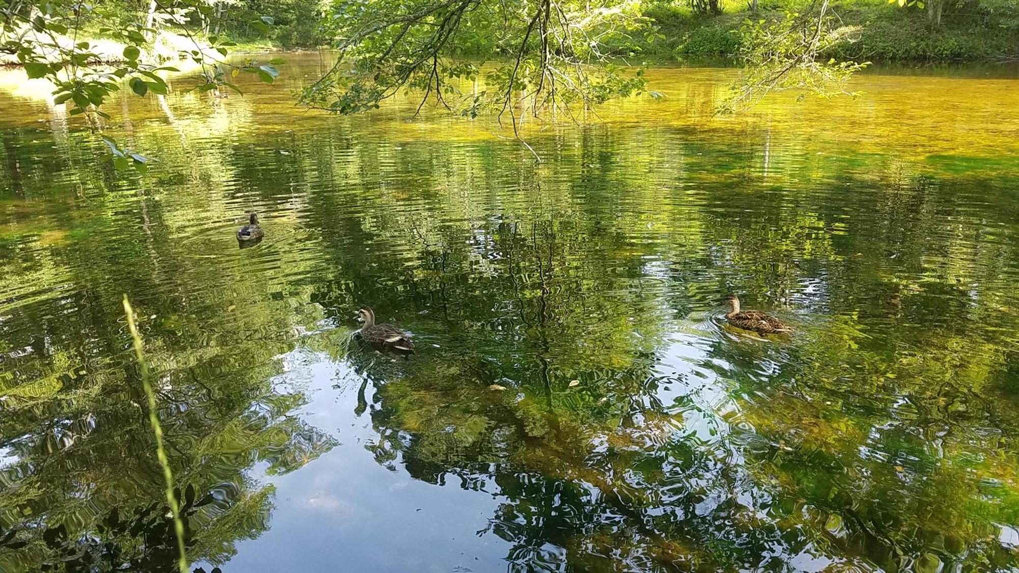 Dormy Club Karuizawa Hotel Kültér fotó
